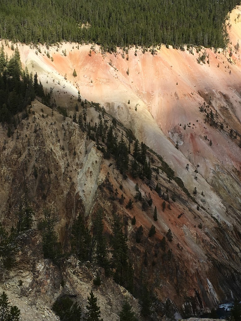 yellowstone2017-3-katya-IMG_6627