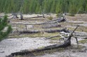 yellowstone2017-3-IMGP7864 
