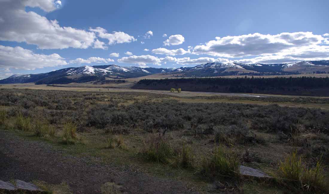 yellowstone2017-4-IMGP8316and19