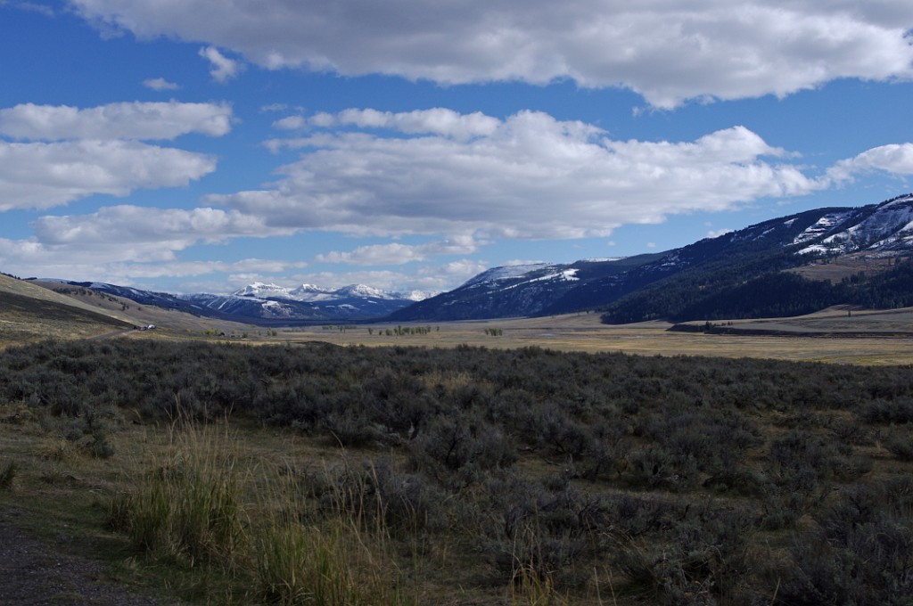 yellowstone2017-4-IMGP8331