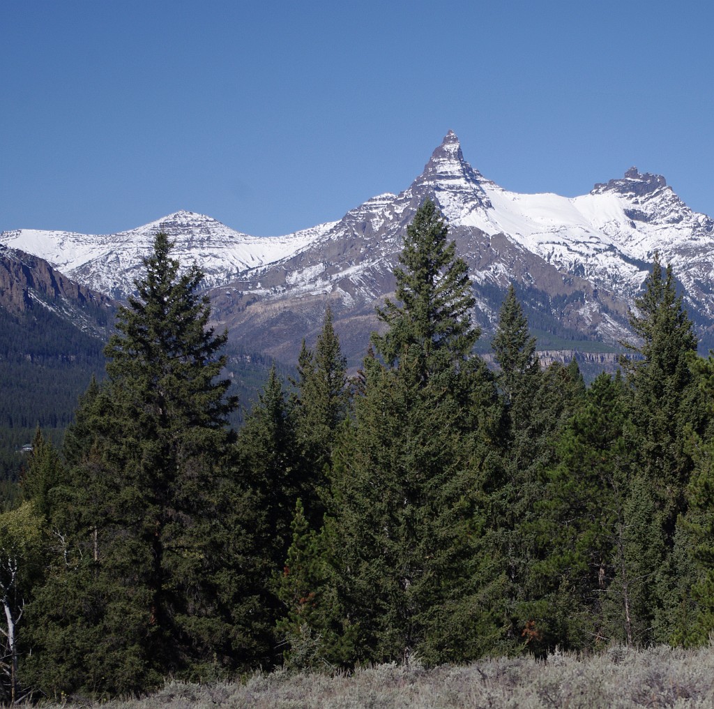 yellowstone2017-5-IMGP8413