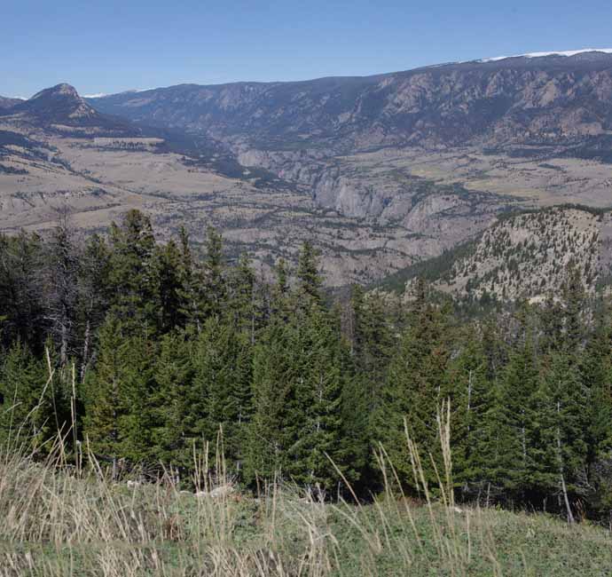 yellowstone2017-5-IMGP8512_15