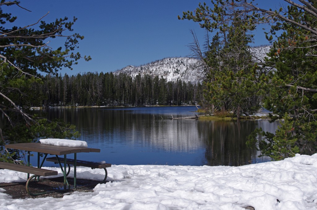 yellowstone2017-6-IMGP8667