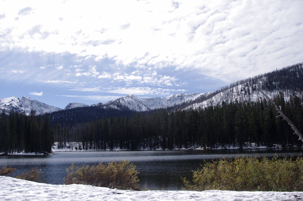 yellowstone2017-6-IMGP8678