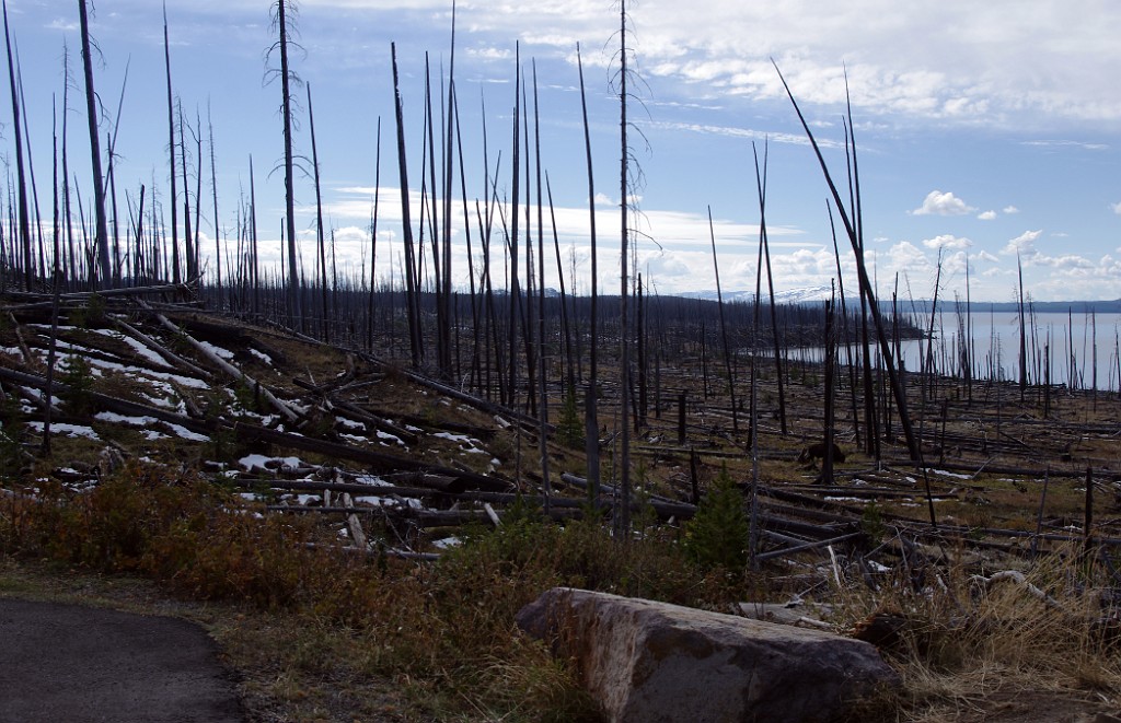 yellowstone2017-6-IMGP8709