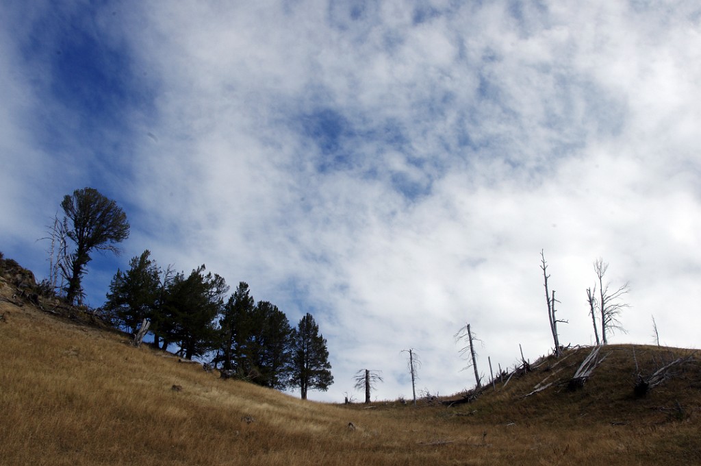 yellowstone2017-6-IMGP8729