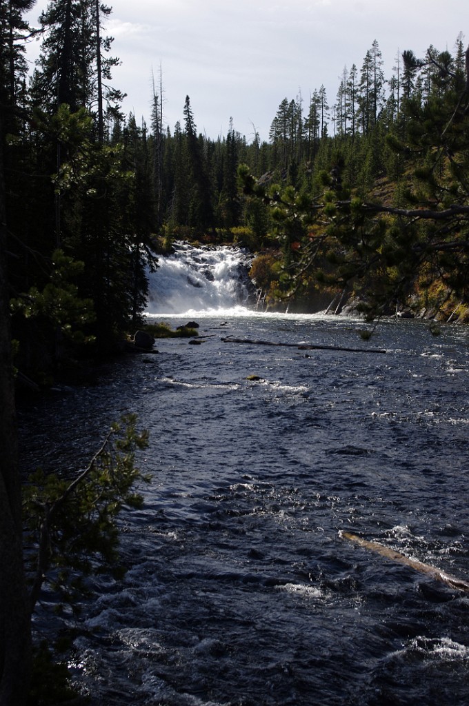 yellowstone2017-6-IMGP8775