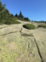 acadiaPark2018-IMG_7291 