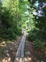 acadiaPark2018-IMG_7309 