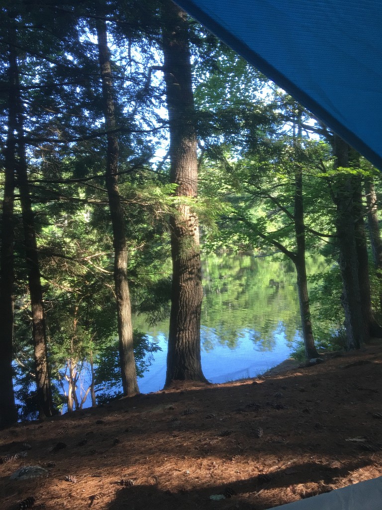 summer2018-PawtuckawayPark-IMG_7125