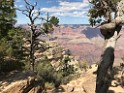 GrandCanyon-Sep2019-IMG_0897 