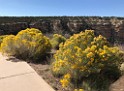 GrandCanyon-Sep2019-IMG_0957