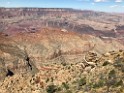 GrandCanyon-Sep2019-IMG_1008 