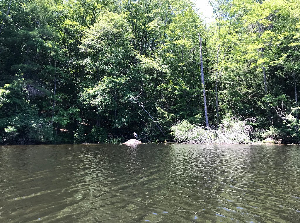 camping2020-Pawtuckaway-IMG_3645