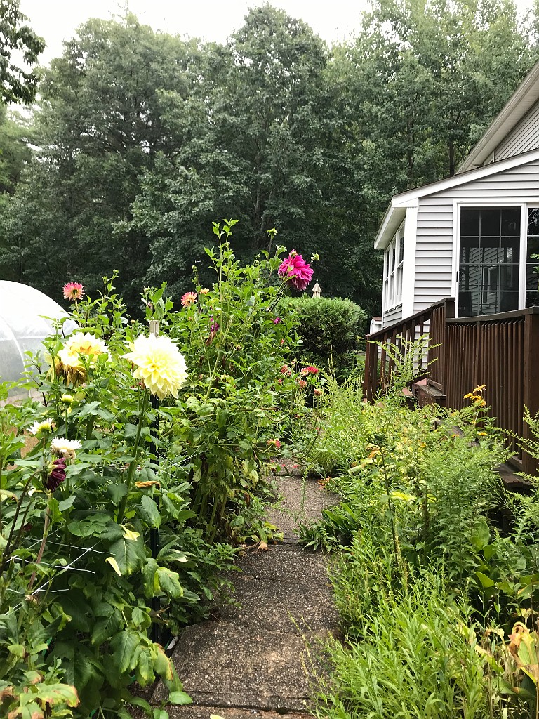 summer2020-Epping-IMG_3831