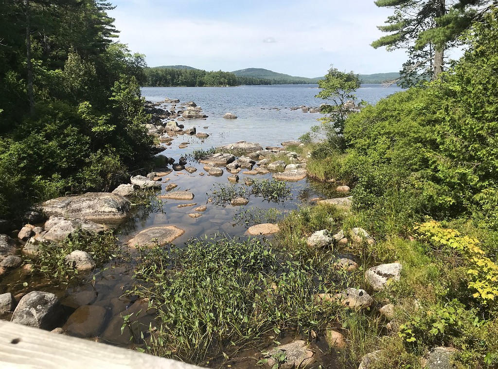 august2020-BranchLakeMaine-IMG_3755