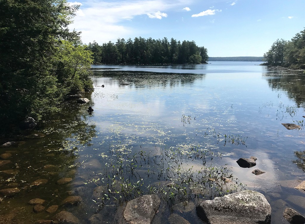 august2020-BranchLakeMaine-IMG_3757