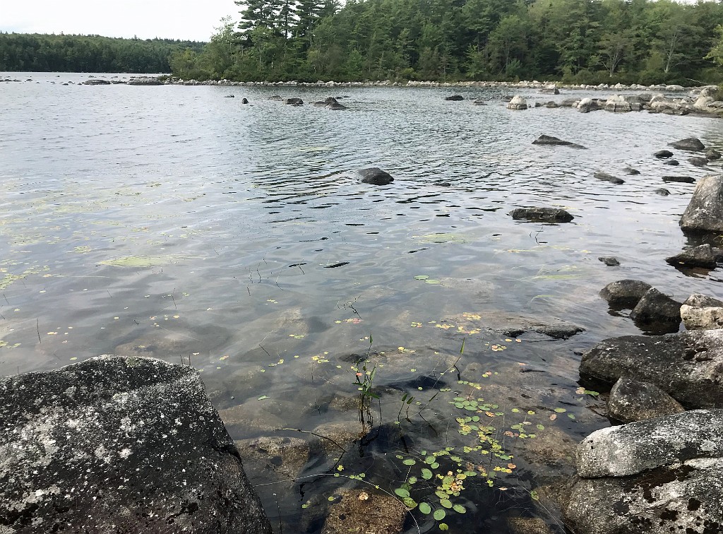 august2020-BranchLakeMaine-IMG_3762