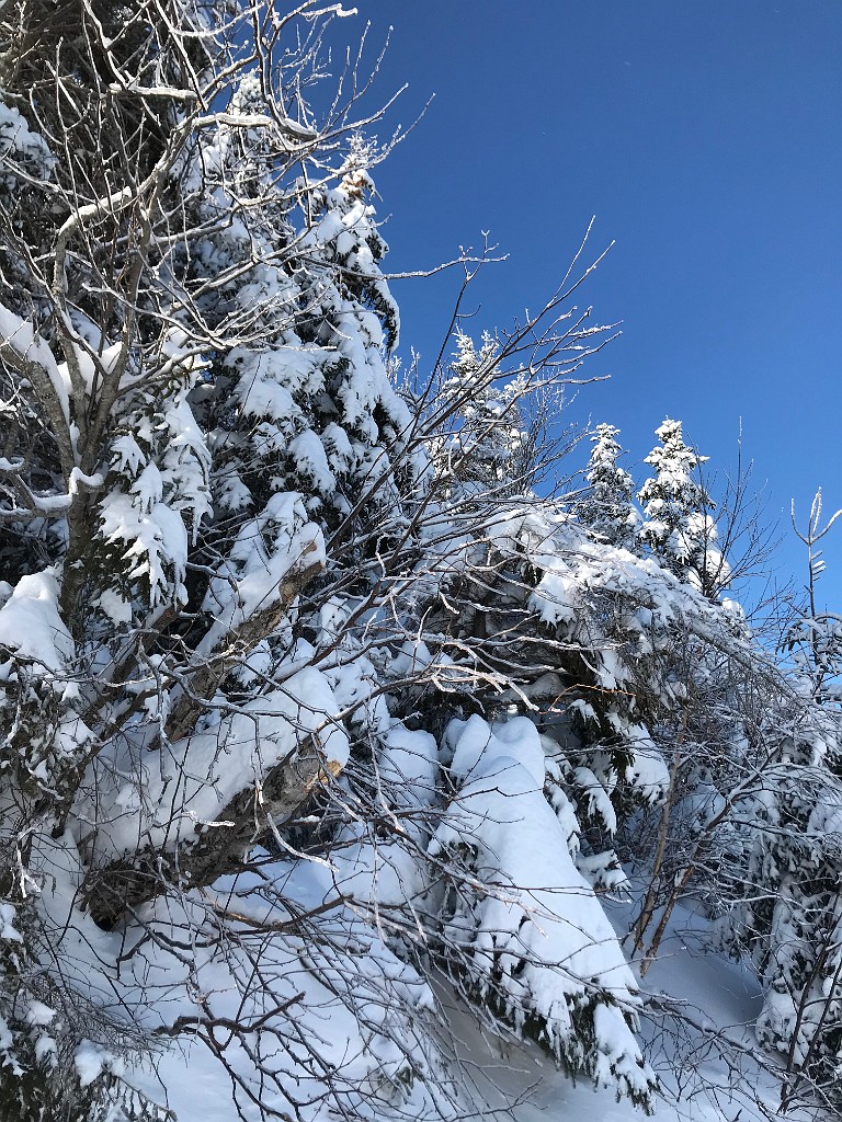 feb2020-LoonMtn-IMG_3203