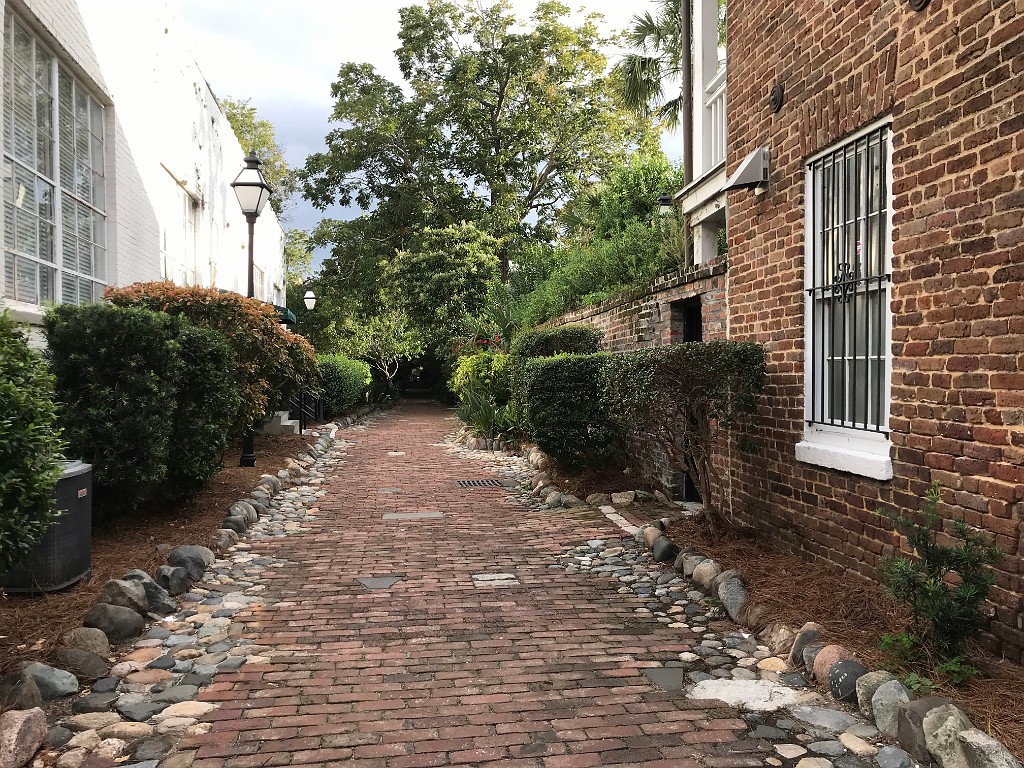 southOct2021-IMG_6264