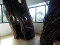 southOct2021-IMG_20211009_140401 
