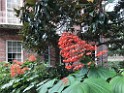 southOct2021-IMG_6214 