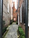 southOct2021-IMG_6222 