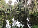 southOct2021-IMG_6348 