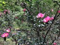 southOct2021-IMG_6359 