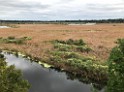 southOct2021-IMG_6361 