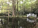 southOct2021-IMG_6380 