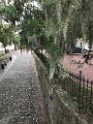 southOct2021-IMG_6424 