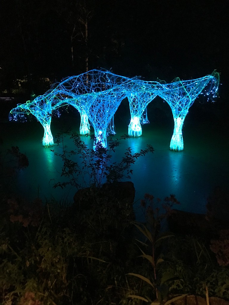 august2021-Madison-IMG_5652
