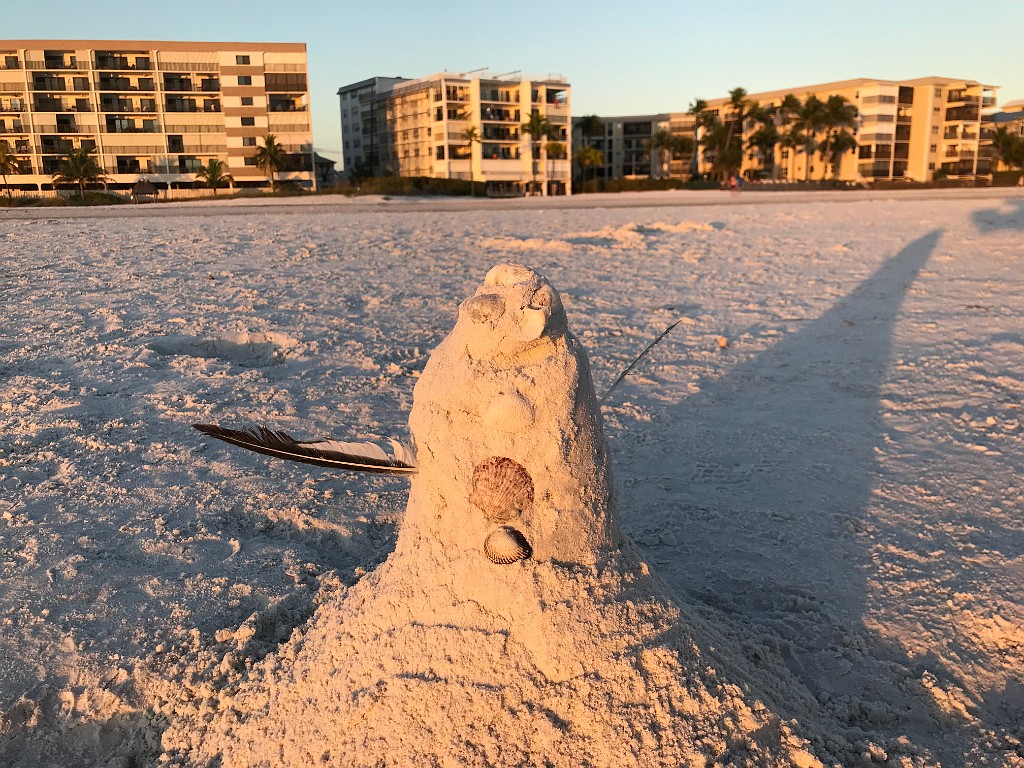 florida-Dec21-IMG_6885