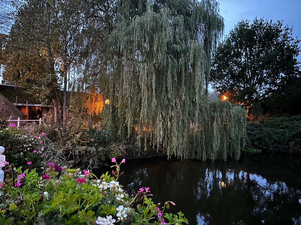 IMG_7906
