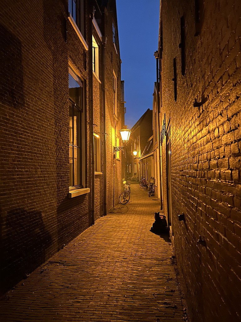 IMG_7920