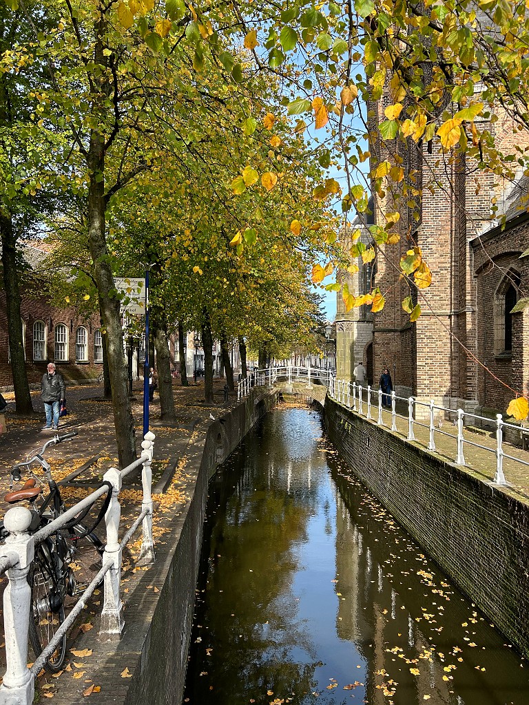 IMG_7977