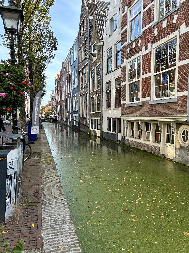 IMG_7986