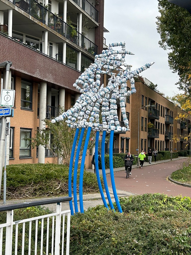 IMG_8017