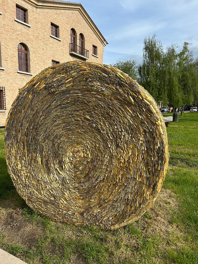 IMG_9786
