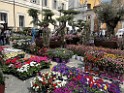 IMG_9737 Flower market