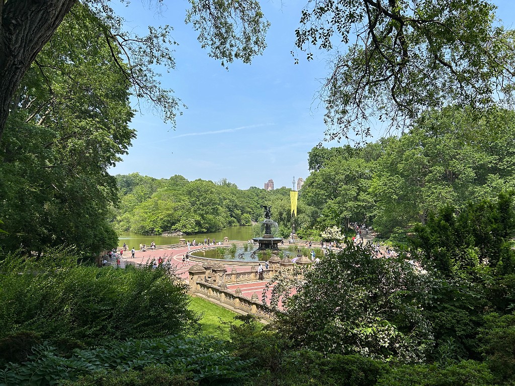 IMG_0248