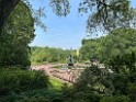 IMG_0248 