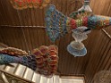 IMG_0250 