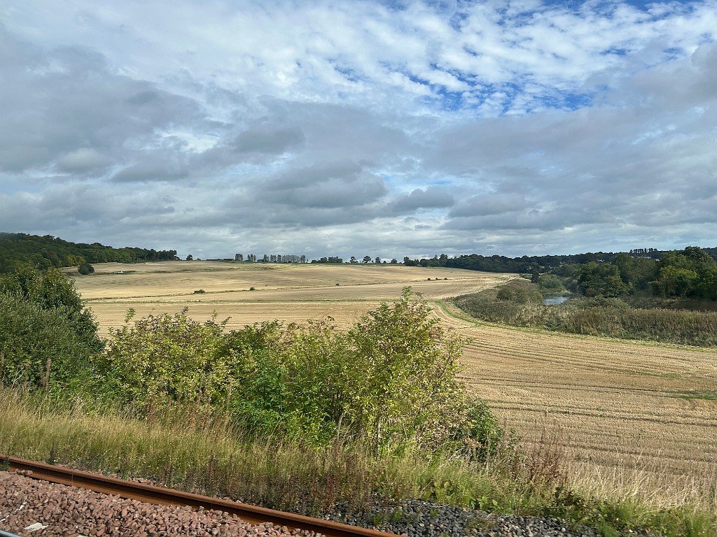 IMG_4328