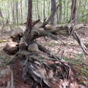 2026-Spring