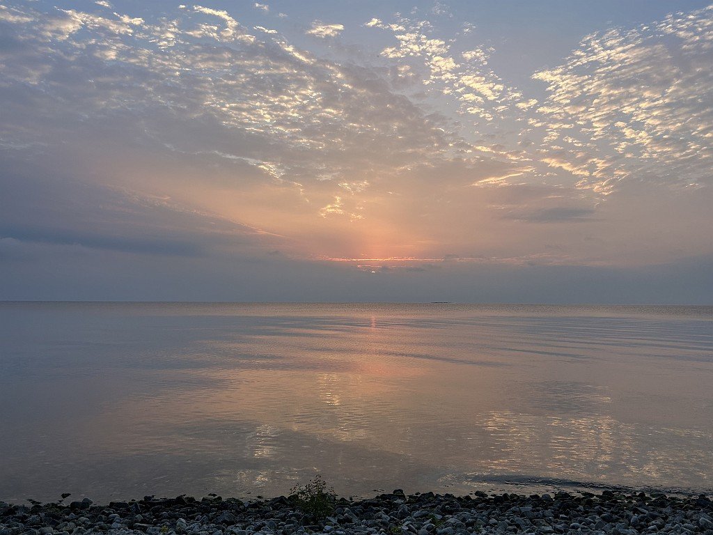 IMG_3906