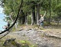 IMG_3877 