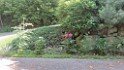 20260609_090846 