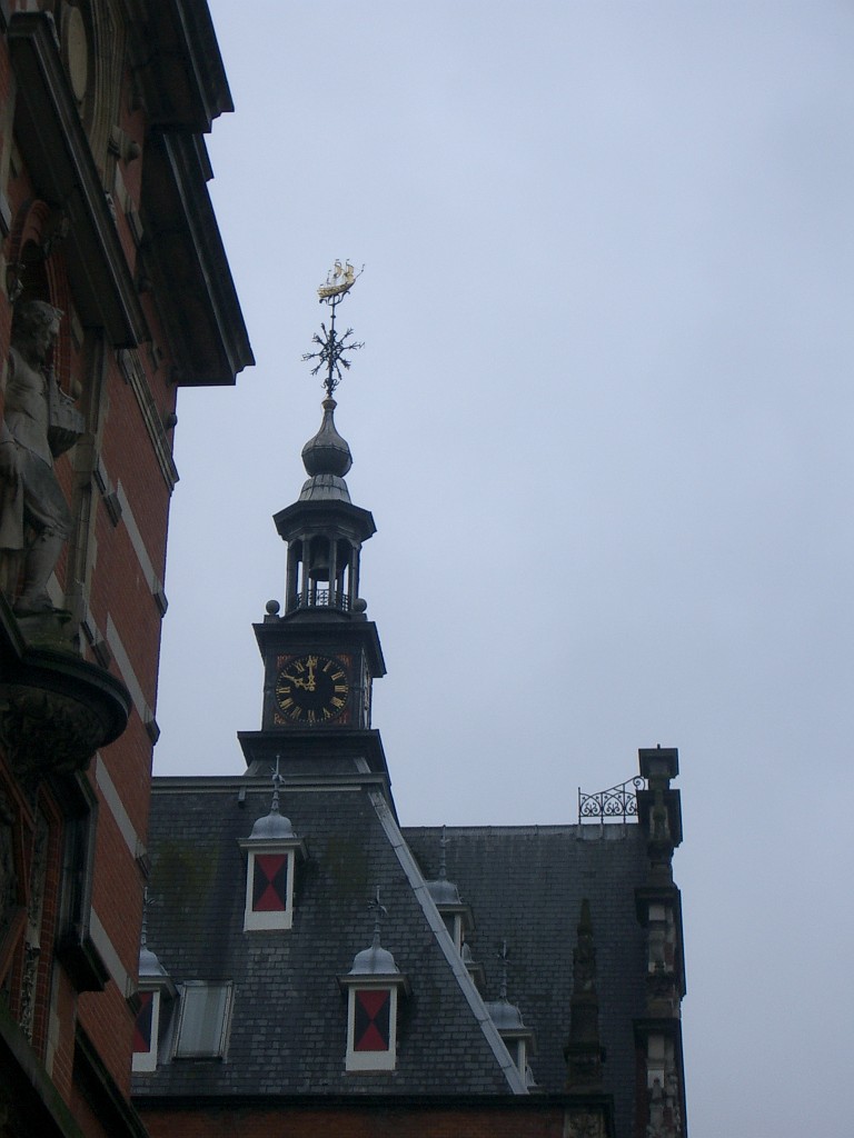 IMGP2877